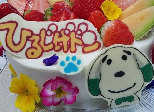 ★ひるじげドンの放送当日犬ちゃんのケーキ　１☆