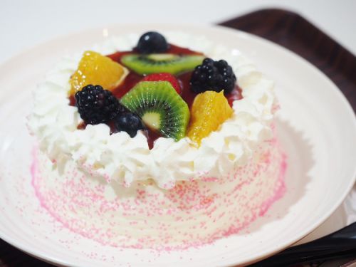 大阪谷町四丁目にオープンした「麺とかき氷ドギャン」でケーキ型かき氷を堪能！