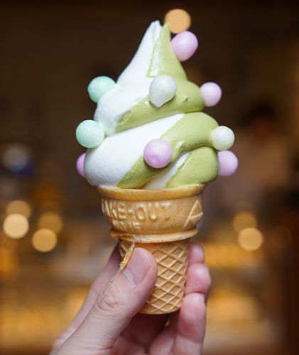 京都で美味しい抹茶ソフトクリームを堪能！京八坂プリン