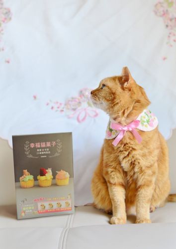 Lauraの猫スイーツBOOK、台湾版キャンペーンのお知らせ