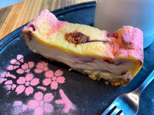 代官山で桜満開！限定 桜と苺のチーズケーキ